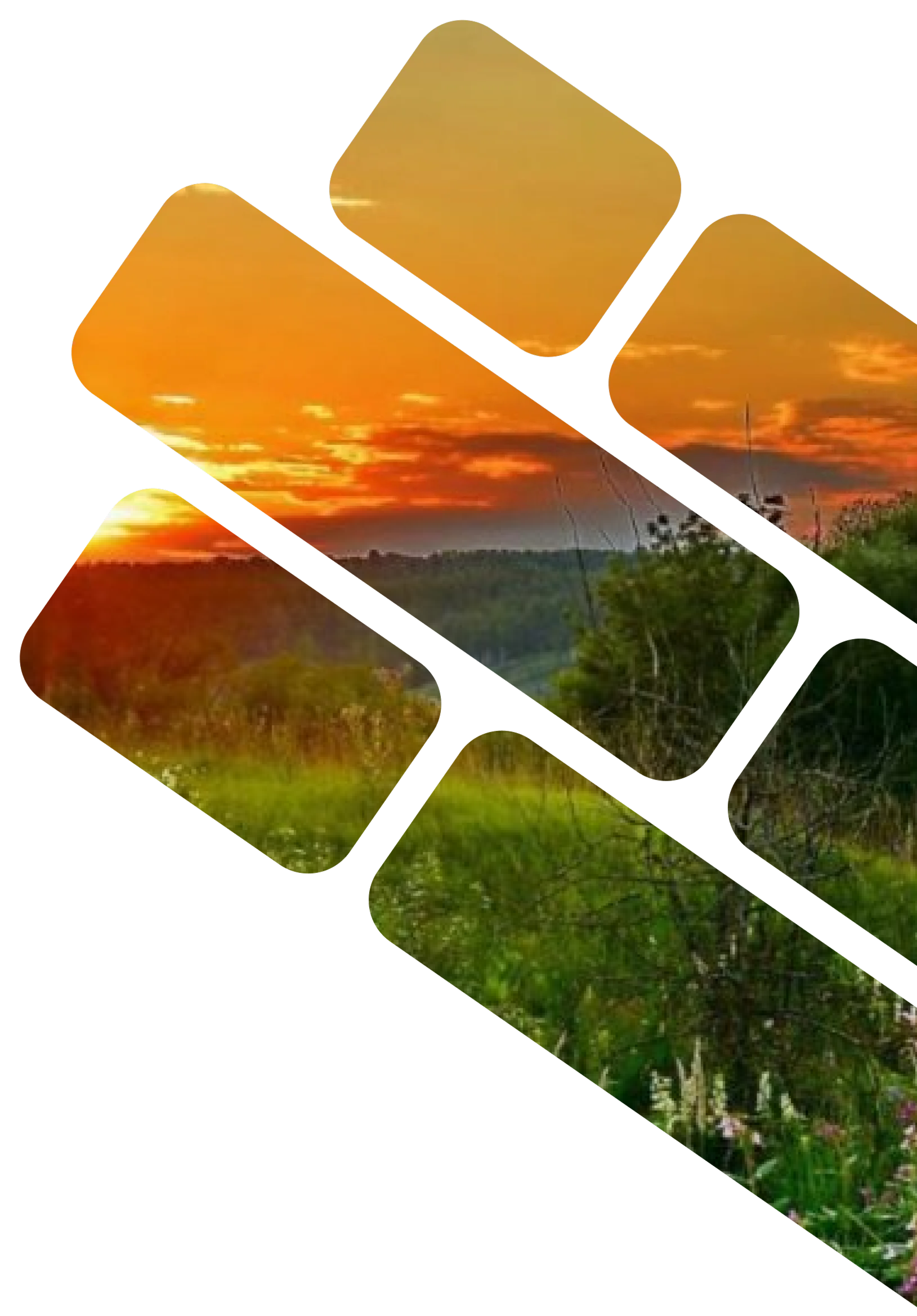 Противодействие коррупции