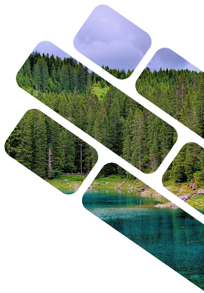 Лаборатория&lt;br&gt;«Красная книга»