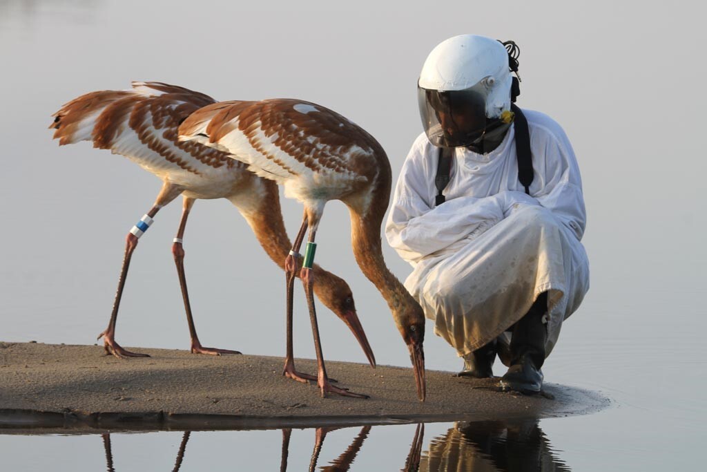 Лаборатория «Биоразнообразие»