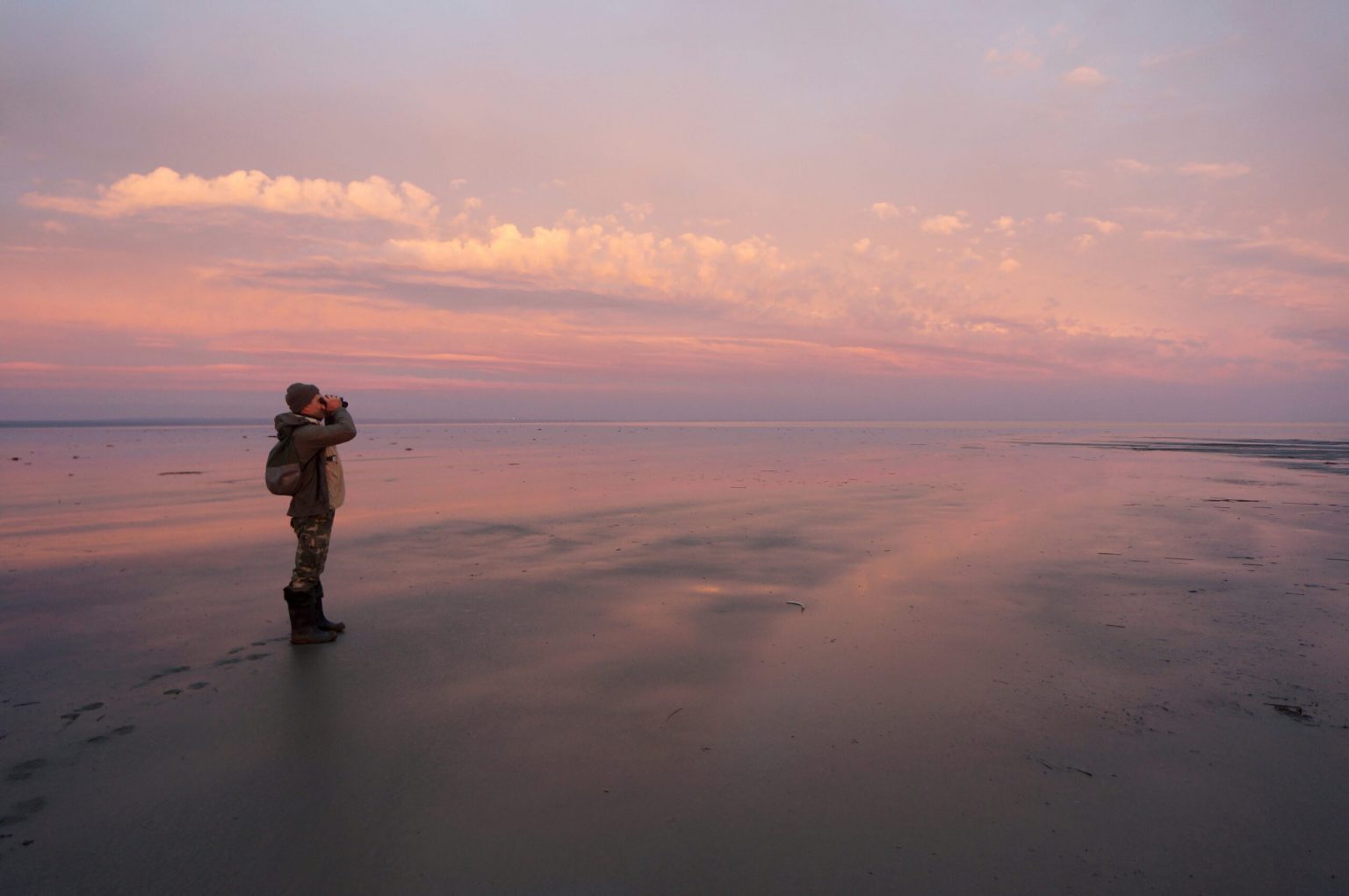 Лаборатория «Заповедное дело»