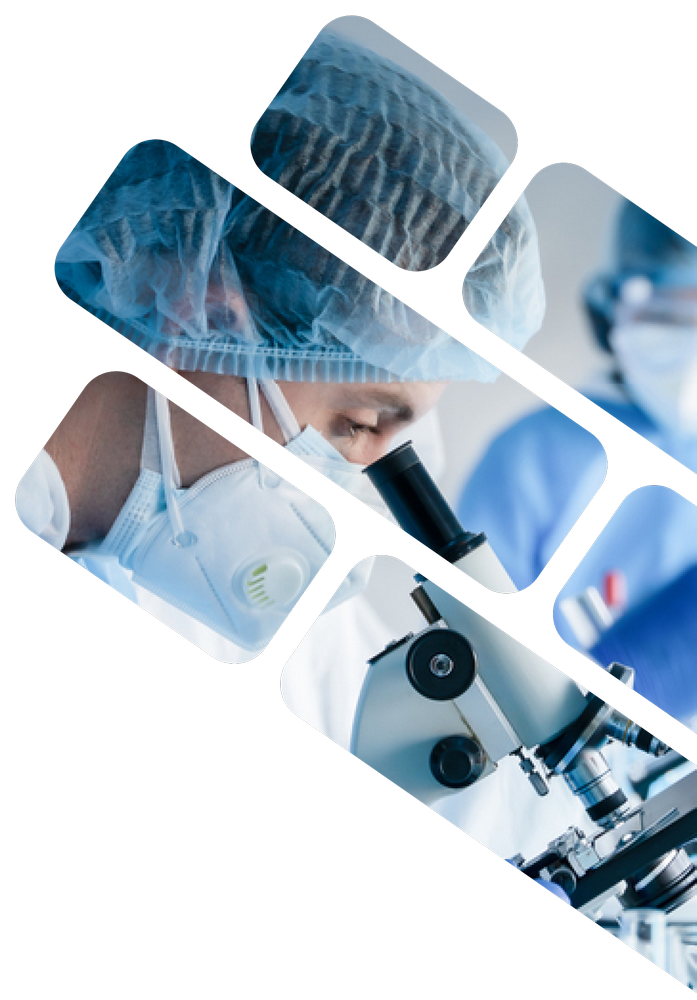 Научно-методический центр &lt;span&gt;экологического моделирования, прогнозирования и оценок&lt;/span&gt;