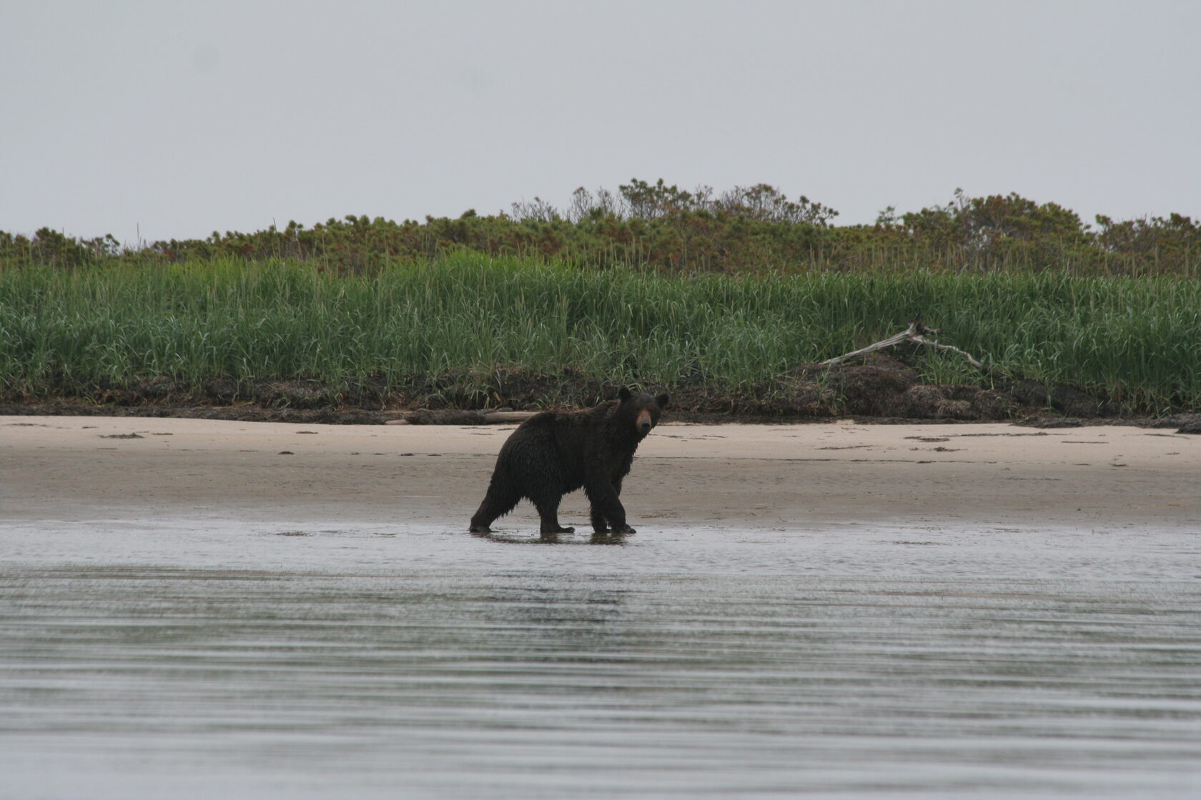 Лаборатория «СИТЕС»
