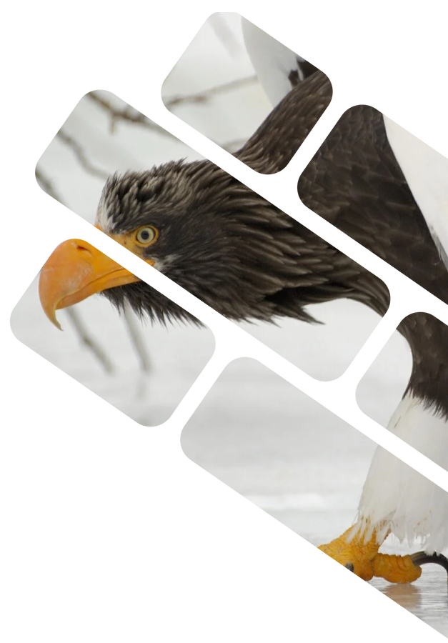 Красные книги